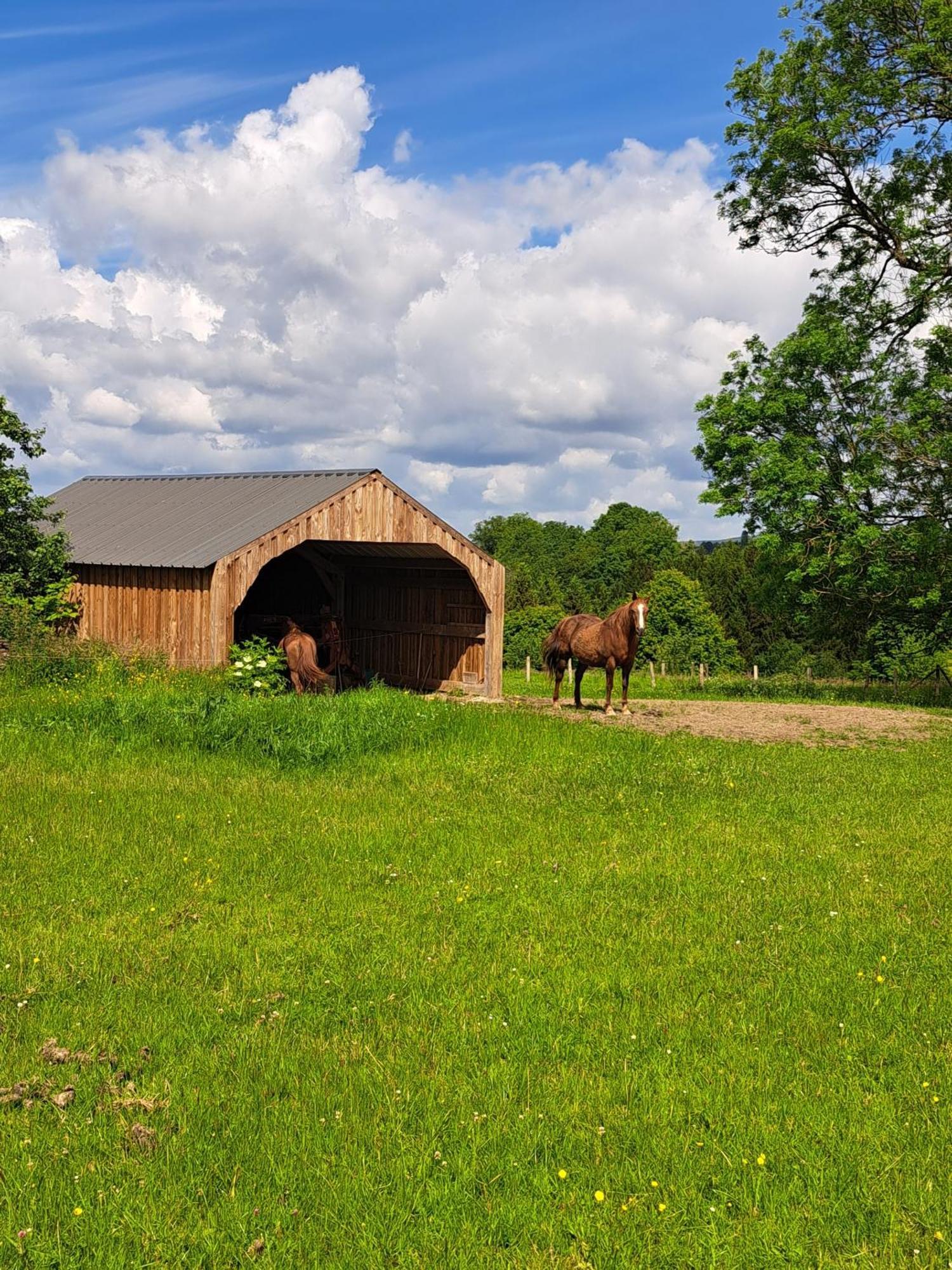 Gîte L'Olivier Houffalize Exterior foto